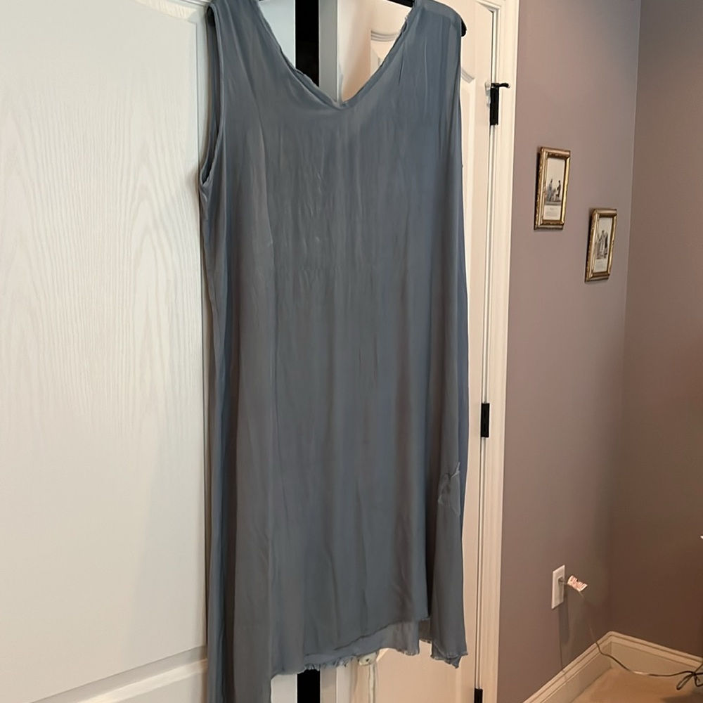 Blue Sleeveless Shift Dress with Flower Appliqués - Picture 7 of 7